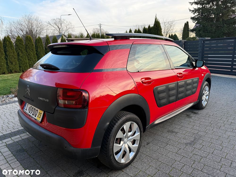 Citroën C4 Cactus PureTech 82 Shine Edition - 10