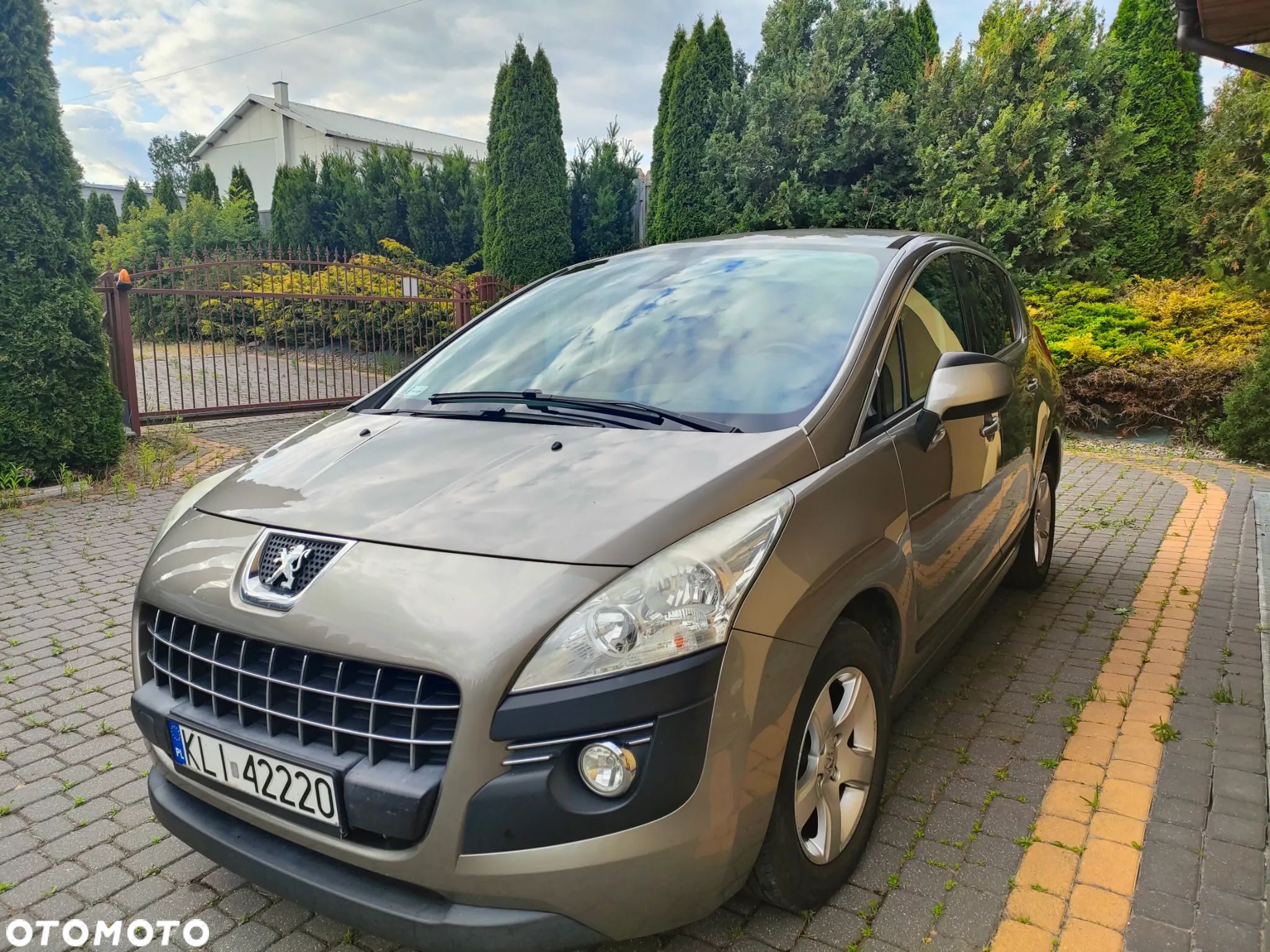 Peugeot 3008 - 1