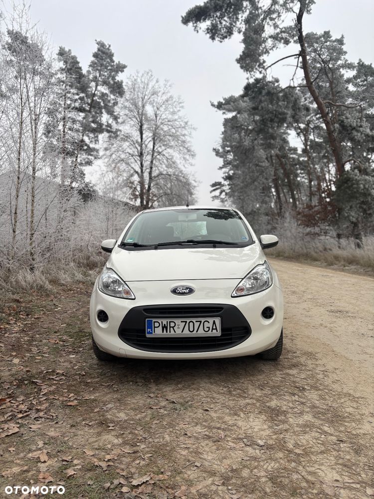 Ford KA 1.2 Start-Stopp-System Champions Edition - 2