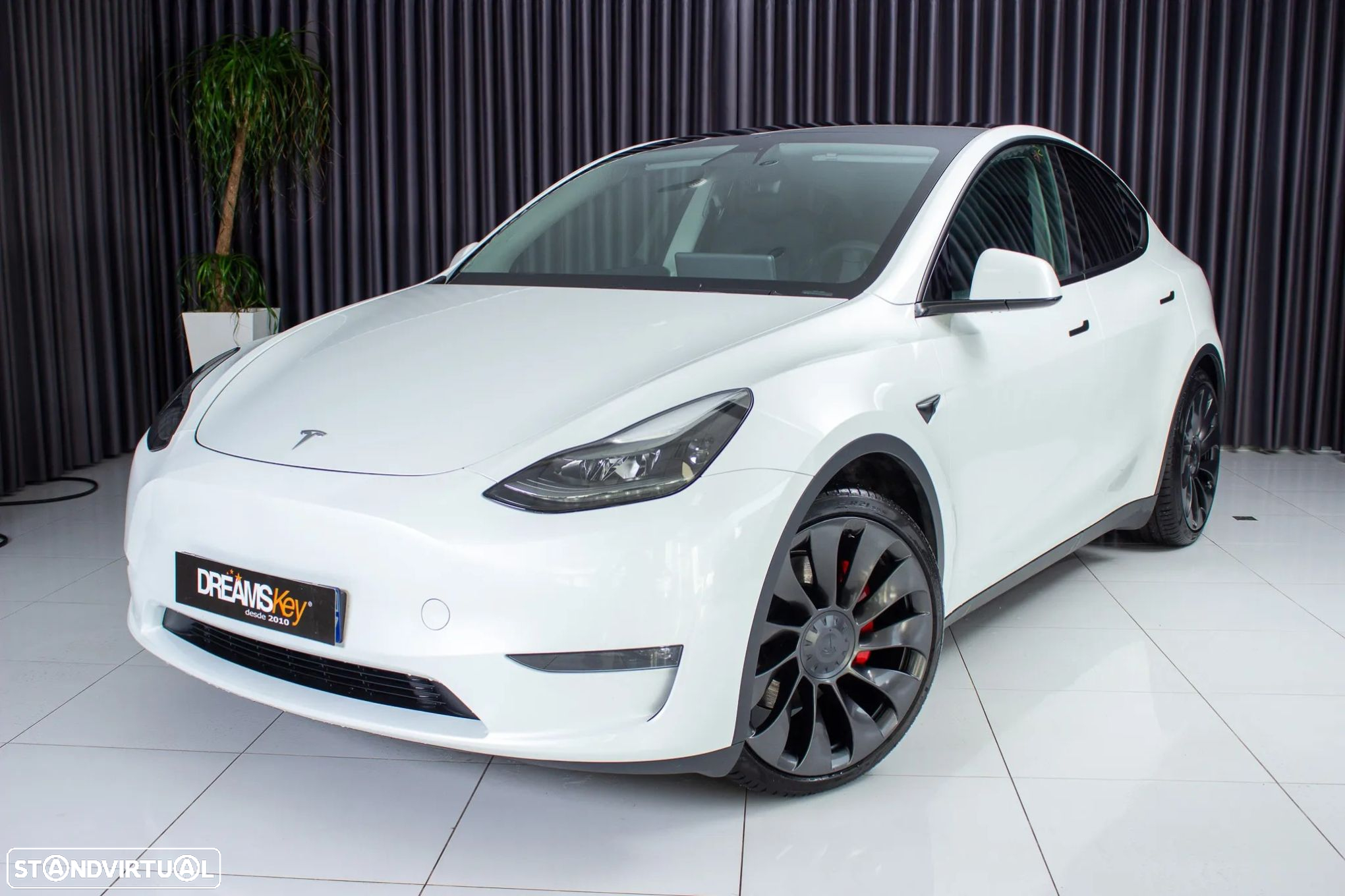 Tesla Model Y Performance Dual Motor AWD - 21