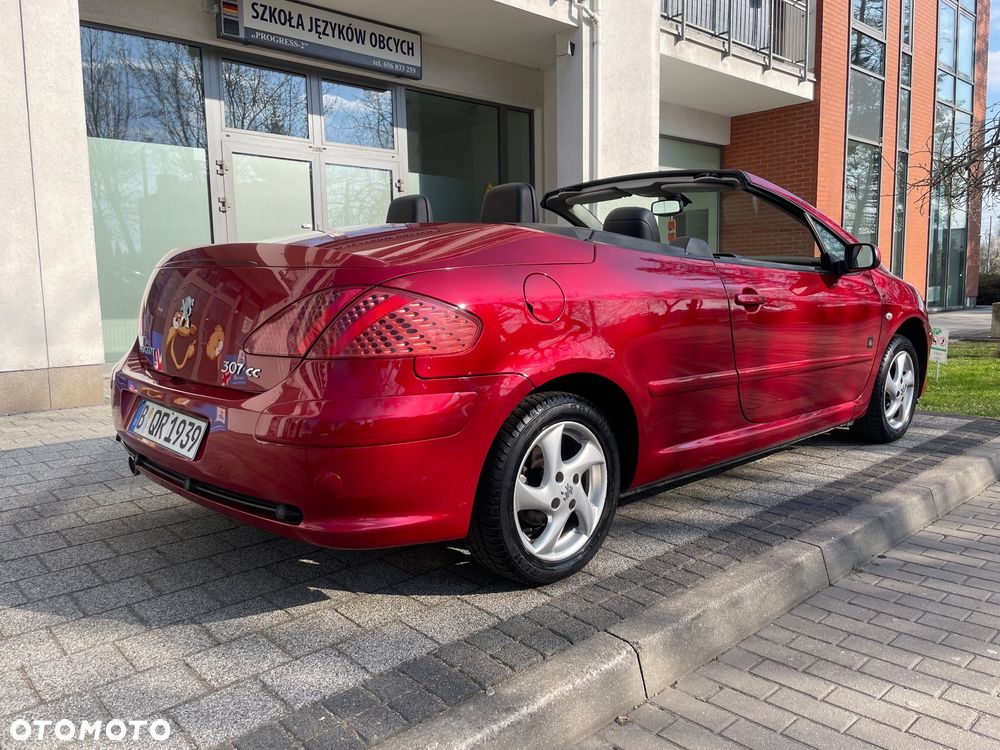 Peugeot 307 2.0 Sporty - 12