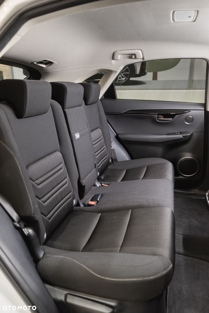 Lexus NX - 13
