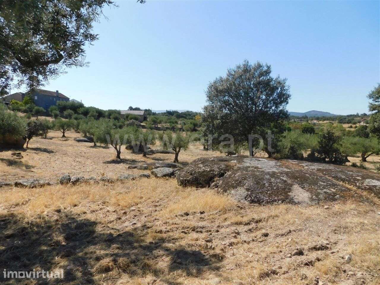 Terreno / Fundão, Martianas