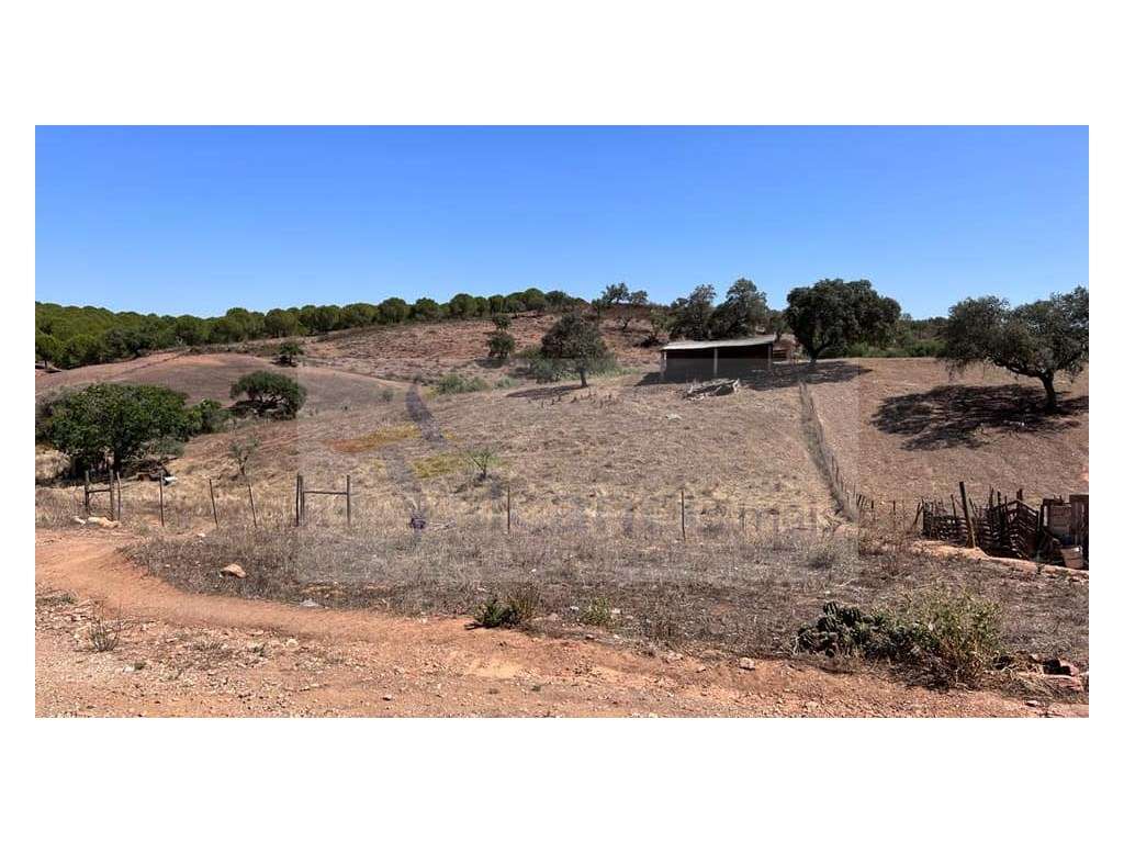 Moradia Rústica na zona de Serpa - 1,5 hectares - 80.000€ - Grande imagem: 5/20