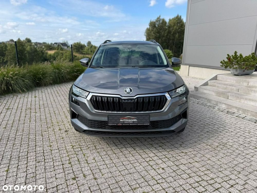 Skoda Karoq - 2