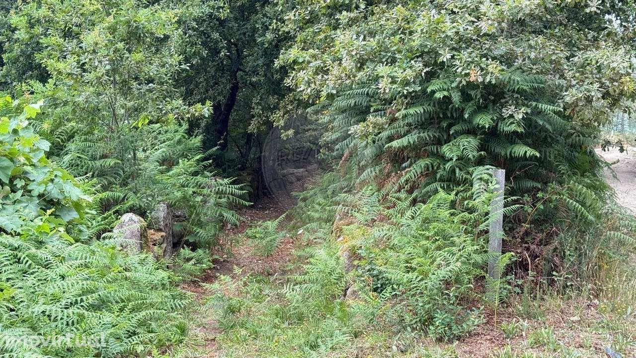 Terreno  para venda - Grande imagem: 5/13