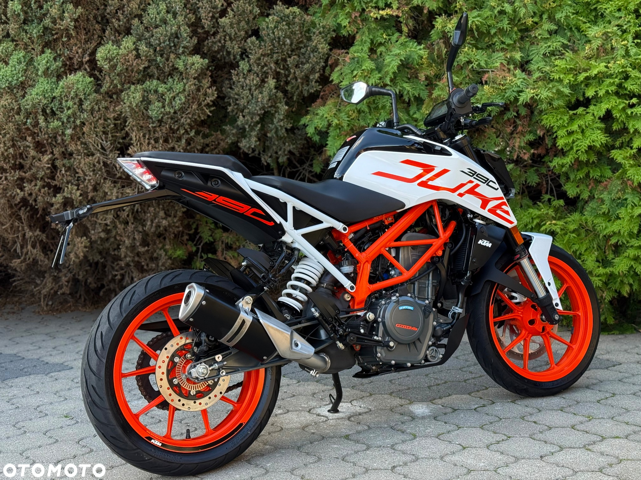 KTM Duke - 3