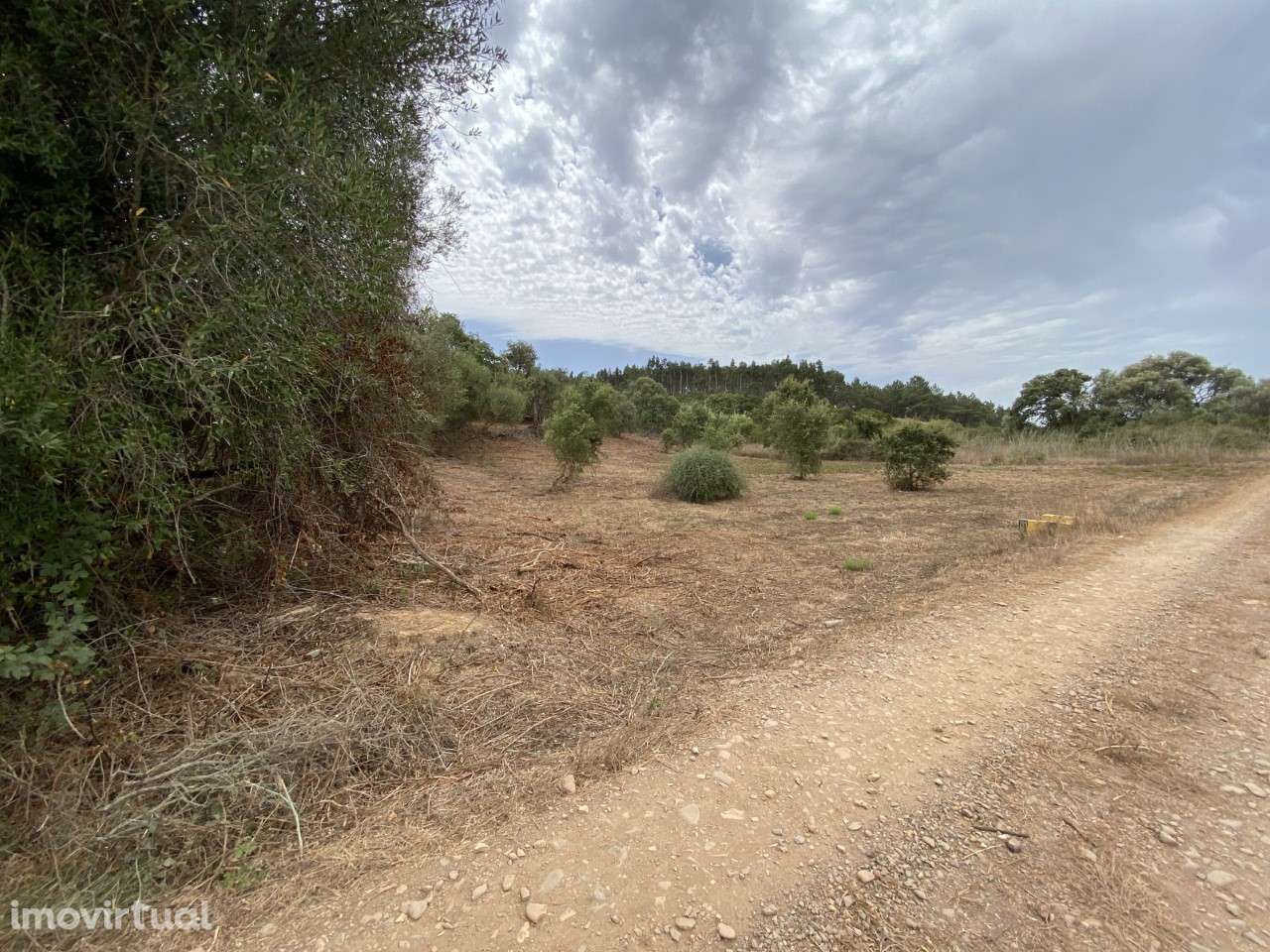 Terreno Rústico Alfambras - Grande imagem: 2/5