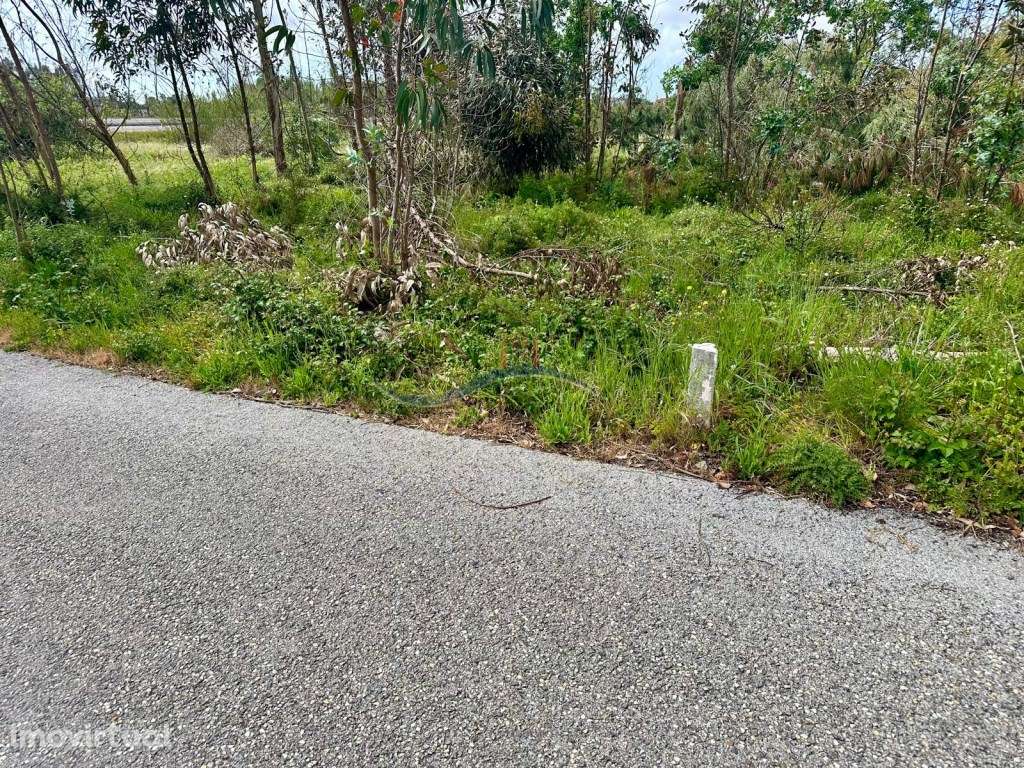 Terreno - Monte Real - Grande imagem: 5/12