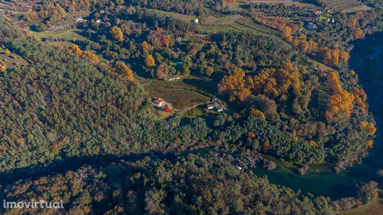 Quinta do Adigueiro, uma propriedade de charme única, situada em Bo... - Grande imagem: 3/47