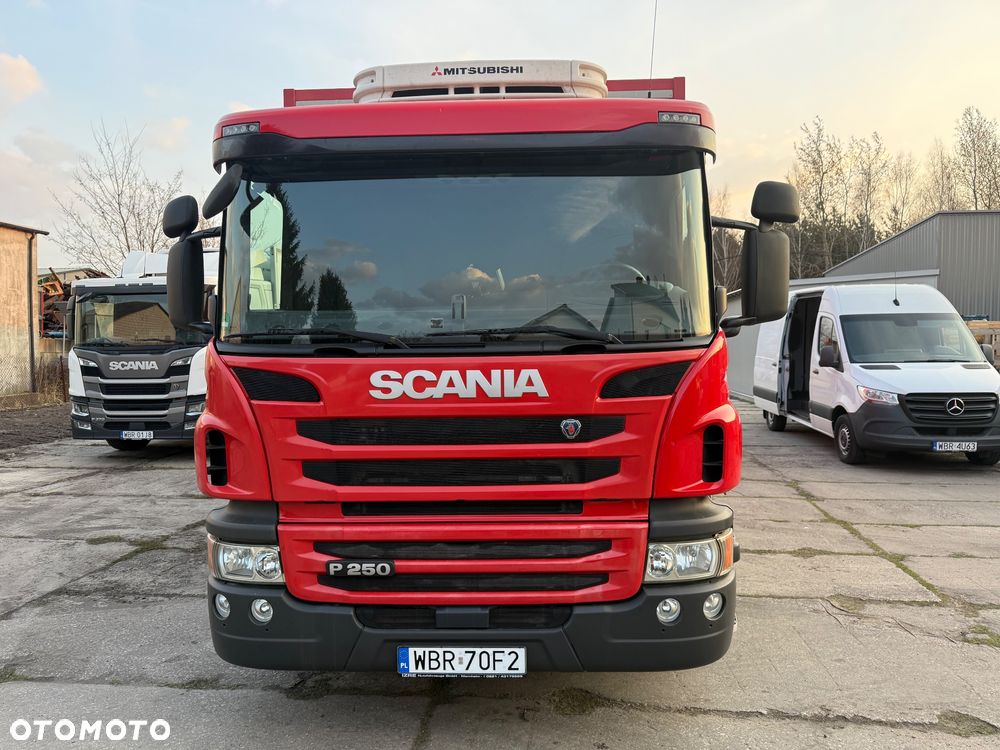 Scania P250 - 2