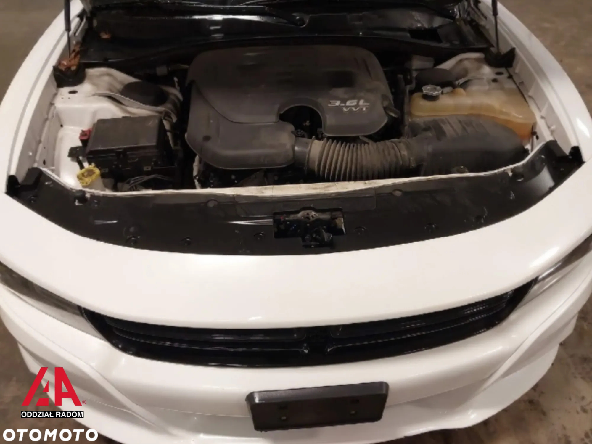 Dodge Charger - 15