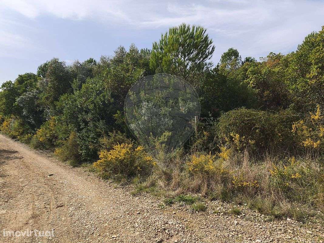 Terreno  para venda - Grande imagem: 2/19