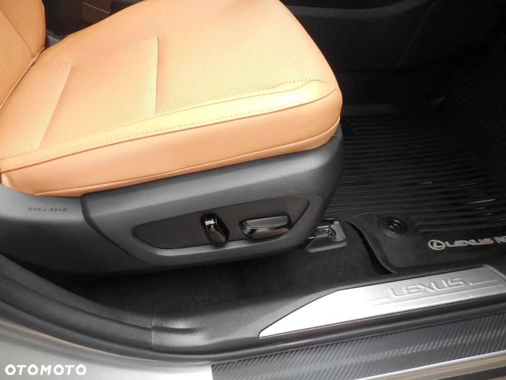 Lexus NX - 12