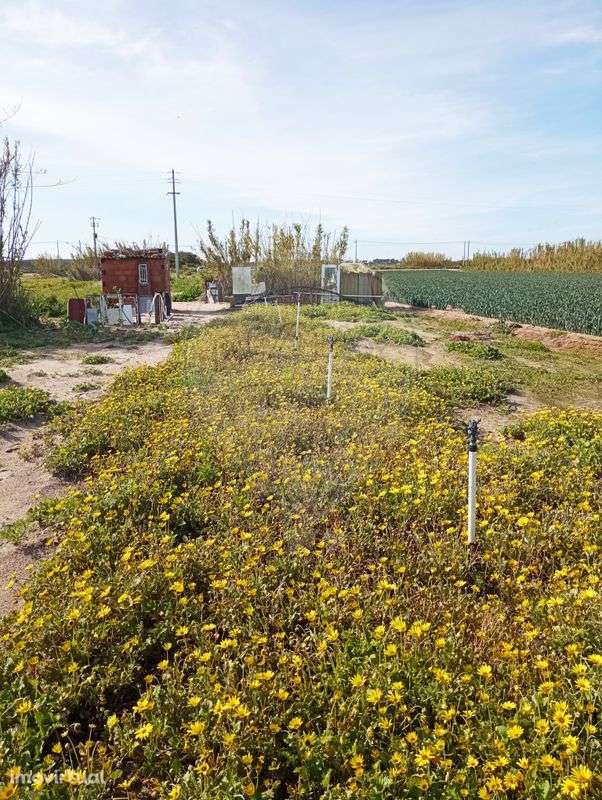 Terreno  para venda - Grande imagem: 2/6