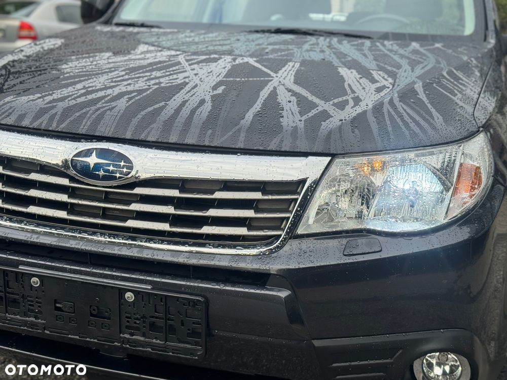Subaru Forester 2.0 i Exclusive - 2