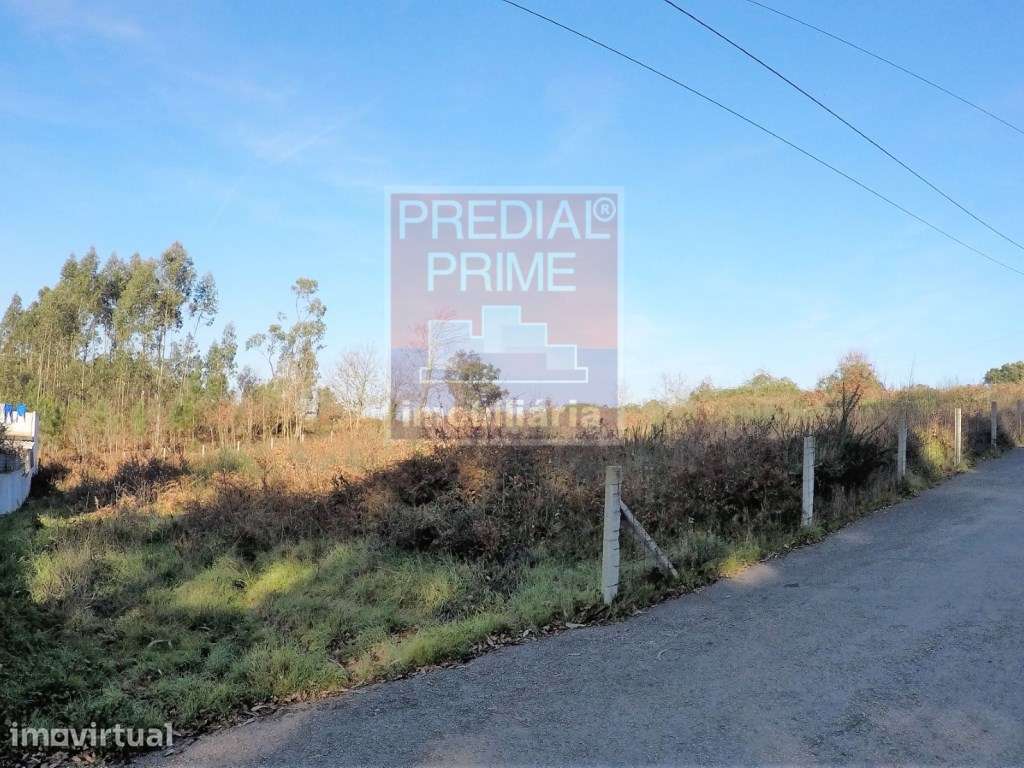 EXCELENTE TERRENO PARA CONSTRUÇÃO DE MORADIA MUITO PRÓXIMO DA CIDAD... - Grande imagem: 3/4