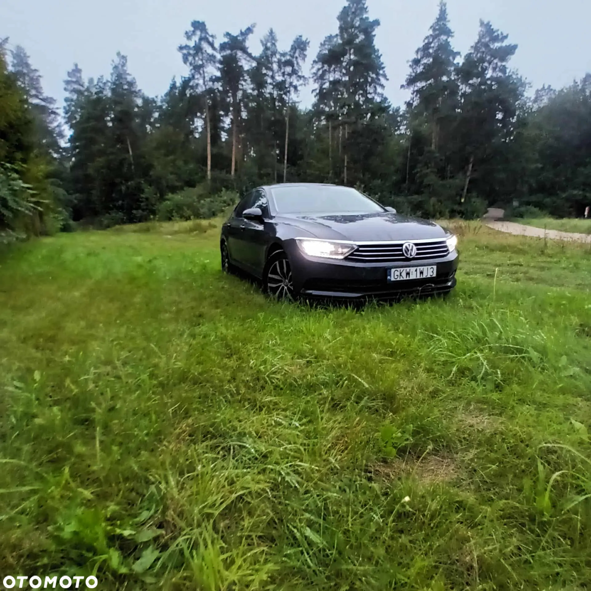 Volkswagen Passat - 2