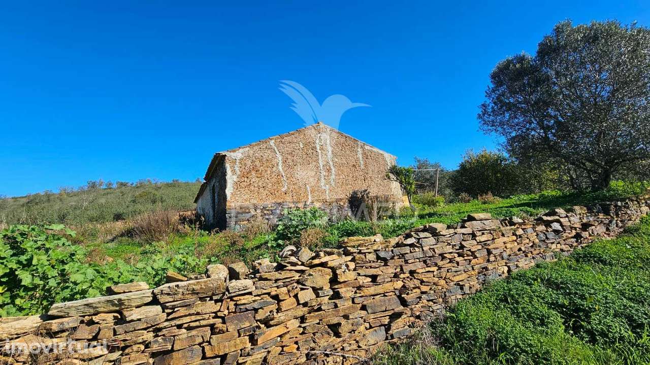 Monte Alentejano Farrobo Barragem Santa Clara - Grande imagem: 5/27