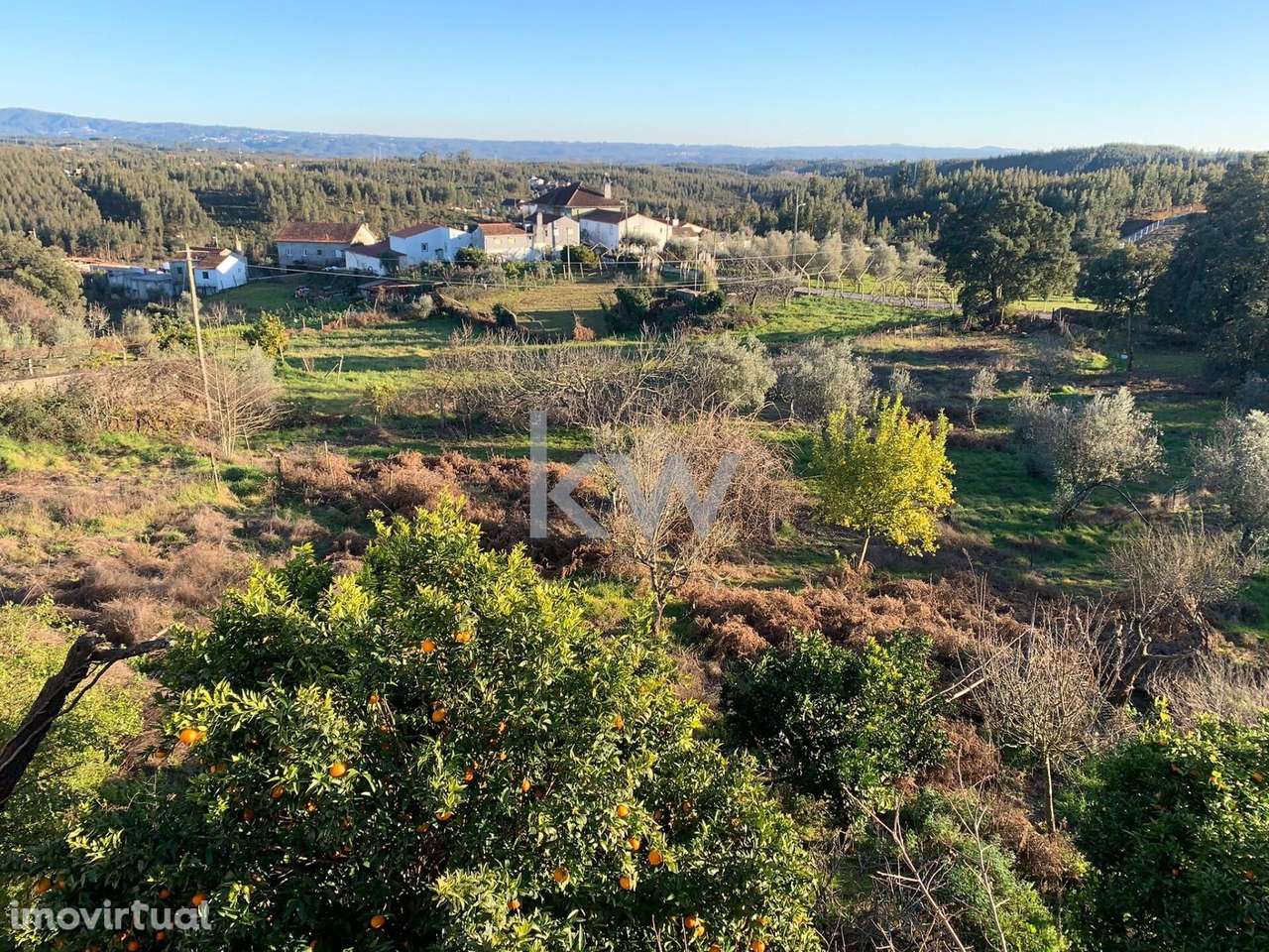 Casa de Pedra e terreno com 3000m2 em Adega -  Pedrogão Grande - Grande imagem: 5/9