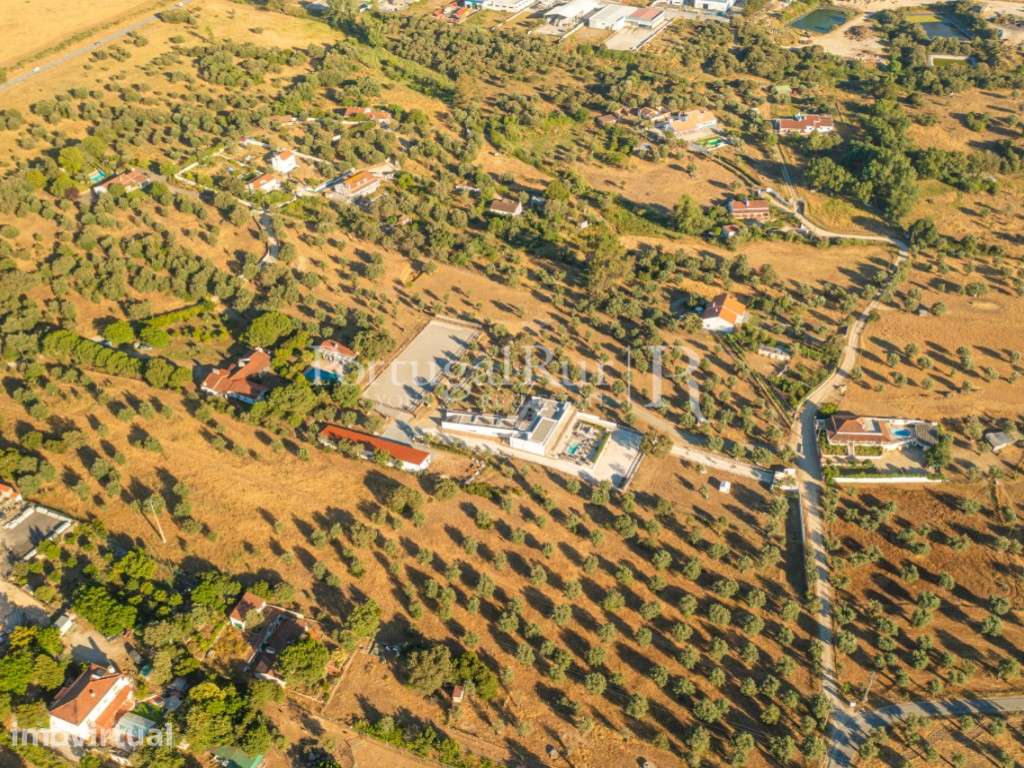 Quinta Equestre com Moradia T3 em Arraiolos - Grande imagem: 4/60