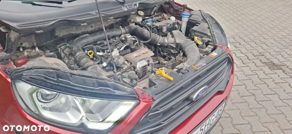 Ford EcoSport 1.0 EcoBoost GPF Titanium ASS - 12