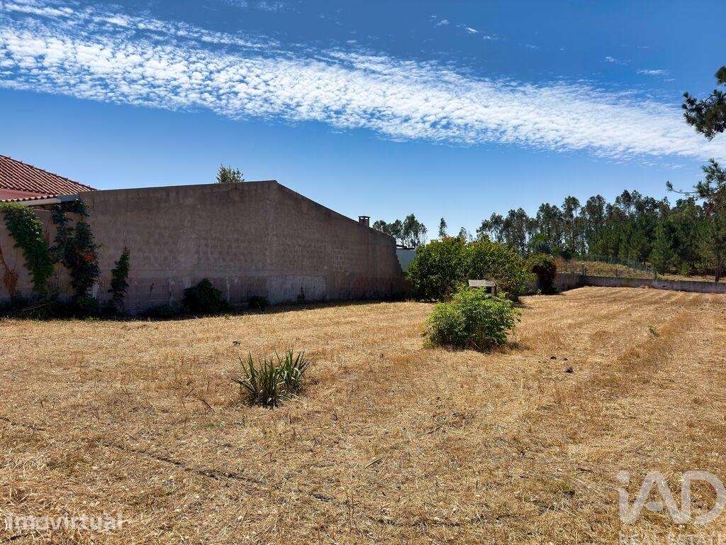 Terreno em Vieira de Leiria - Grande imagem: 3/5