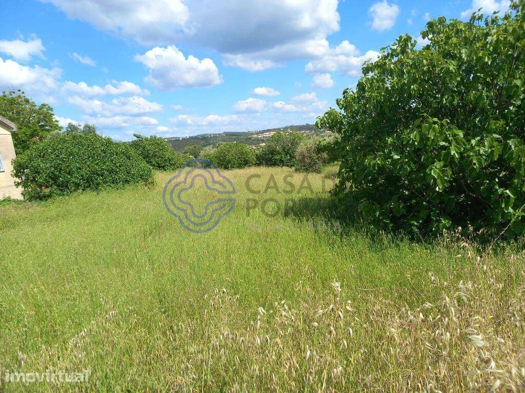 Terreno com projeto próximo de Tomar no Centro de Portugal - Grande imagem: 2/26