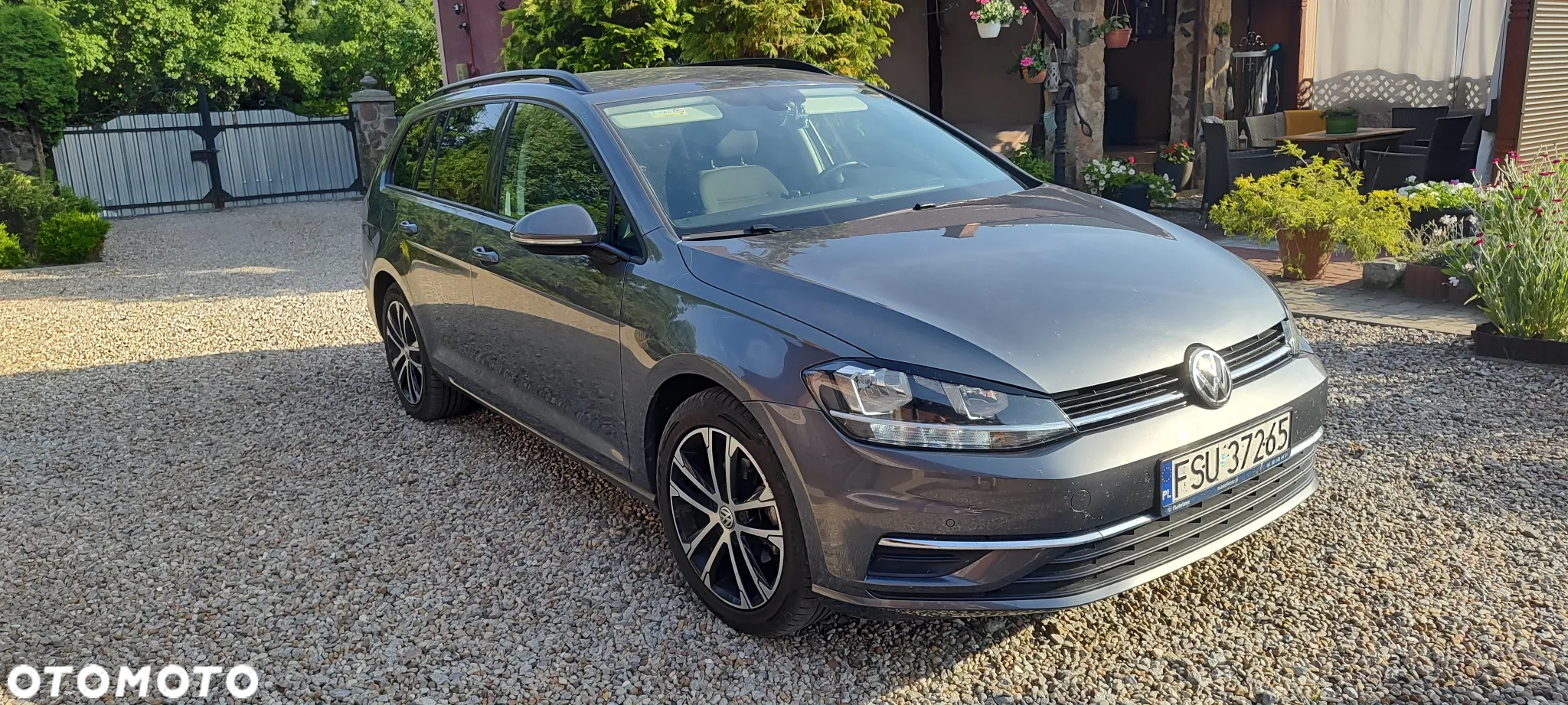 Volkswagen Golf - 36