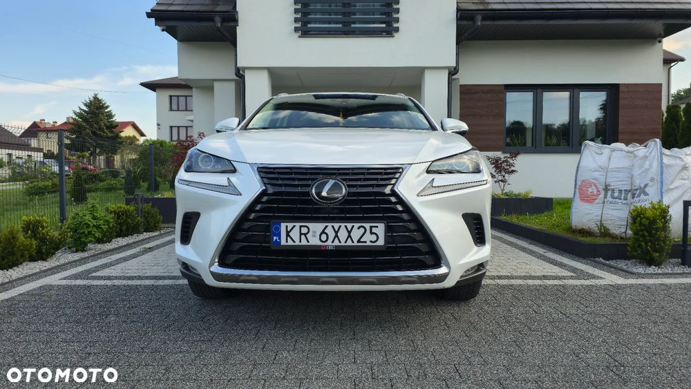Lexus NX 300 Business Edition AWD - 11
