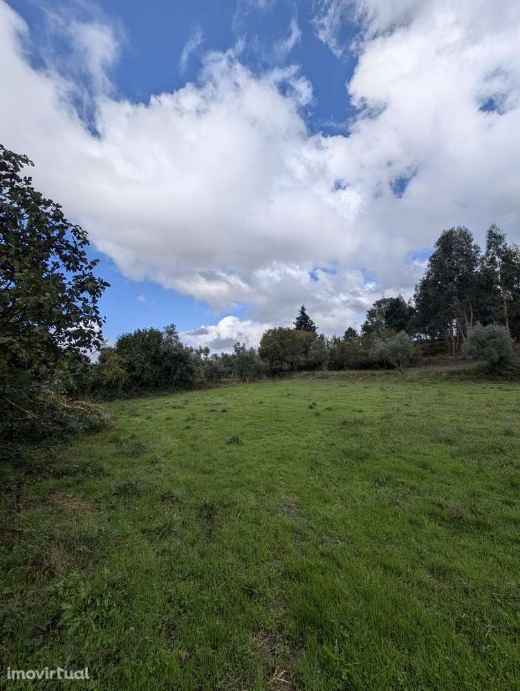 Quinta com Vista para a Serra da Estrela | Moimenta da Serra – Gouveia - Grande imagem: 3/19