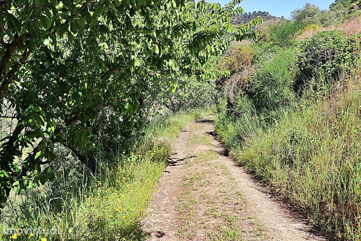 Terreno  para venda - Grande imagem: 4/17