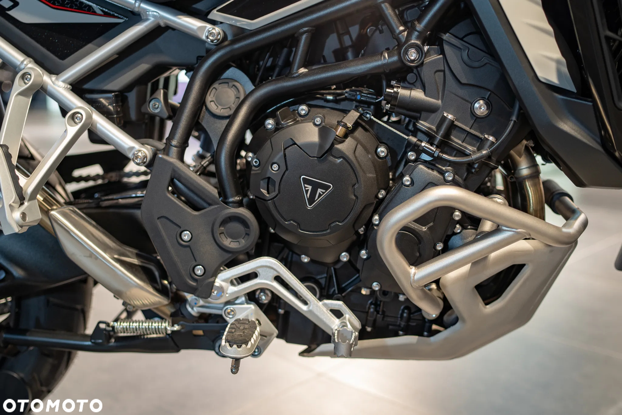 Triumph Tiger - 19