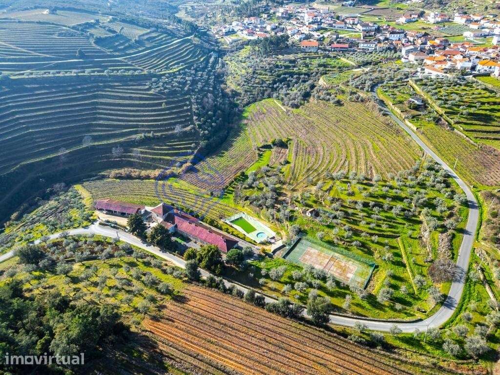 Quinta  de Turismo Rural com 20 hectares - Grande imagem: 4/60