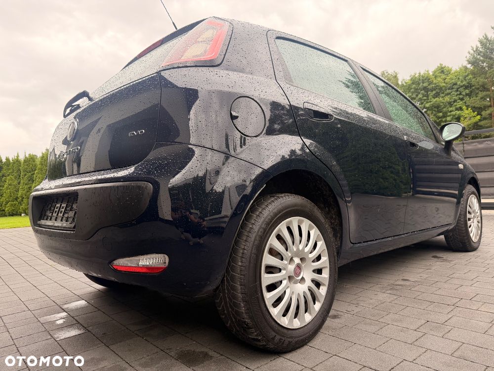 Fiat Punto 1.4 Young - 16