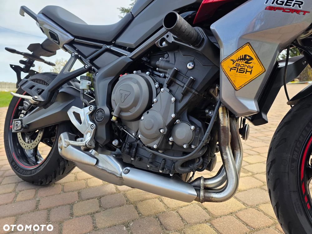 Triumph Tiger - 12