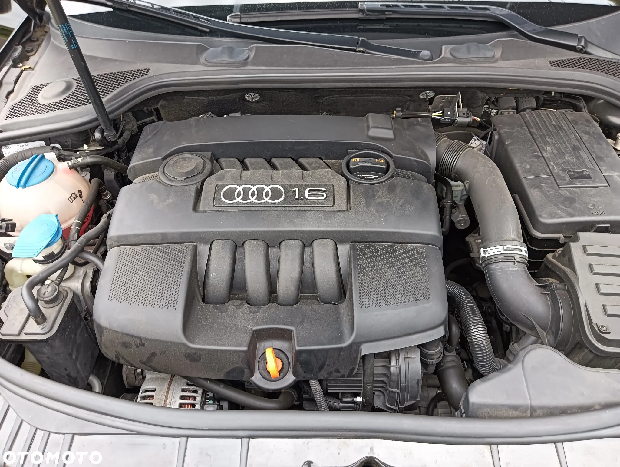 Audi A3 1.6 Ambiente - 12