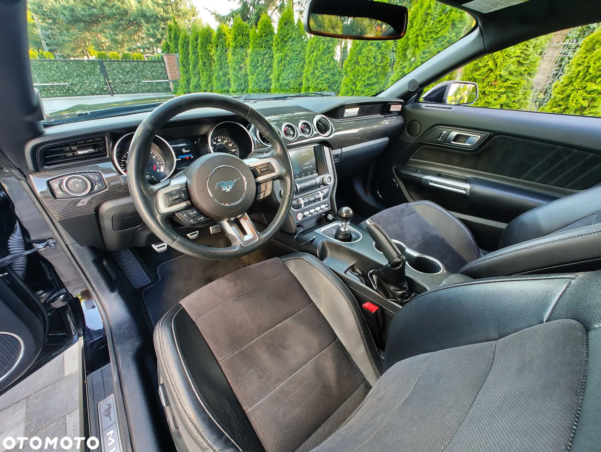 Ford Mustang 5.0 V8 GT - 10