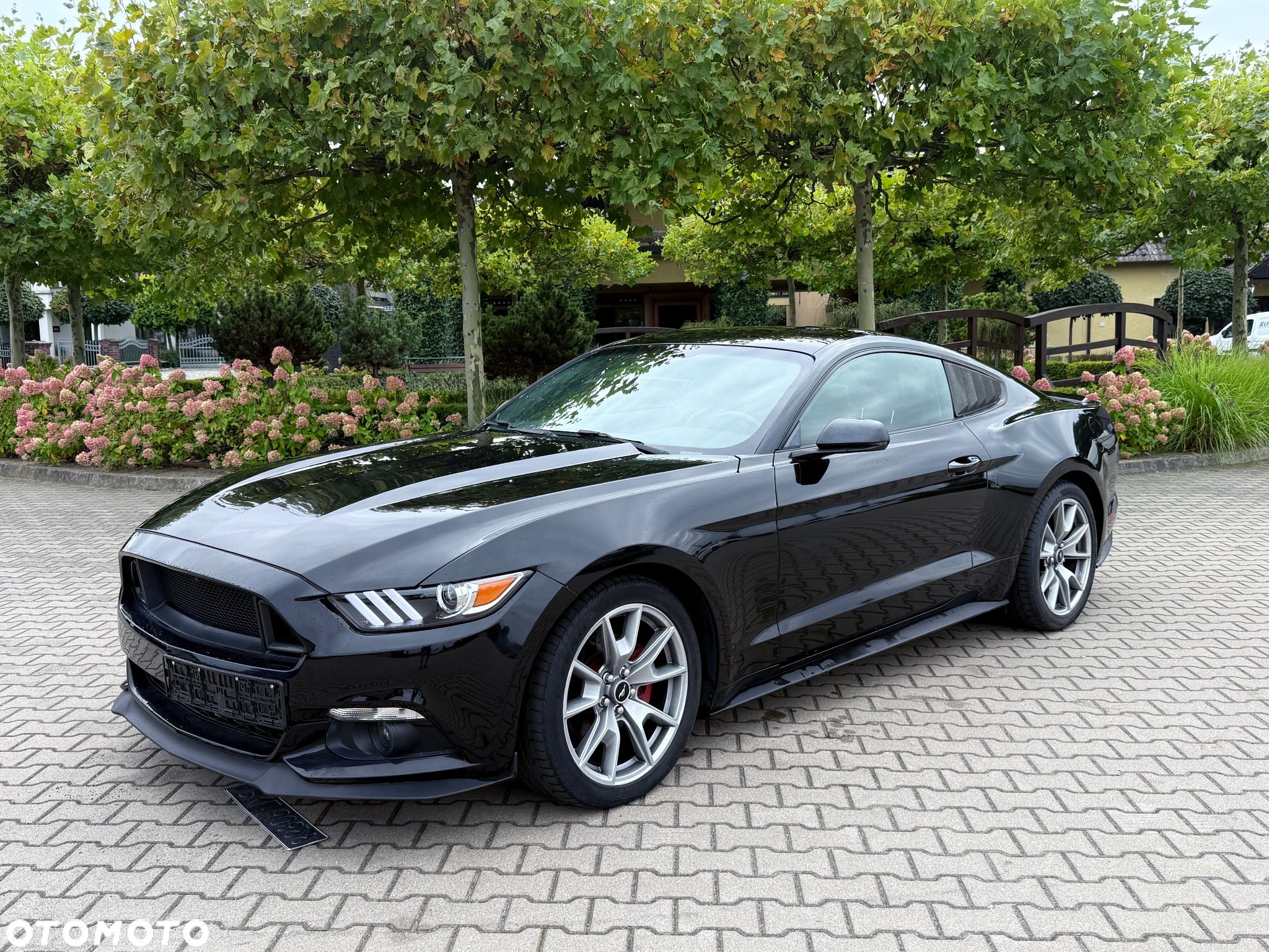 Ford Mustang 2.3 EcoBoost - 1