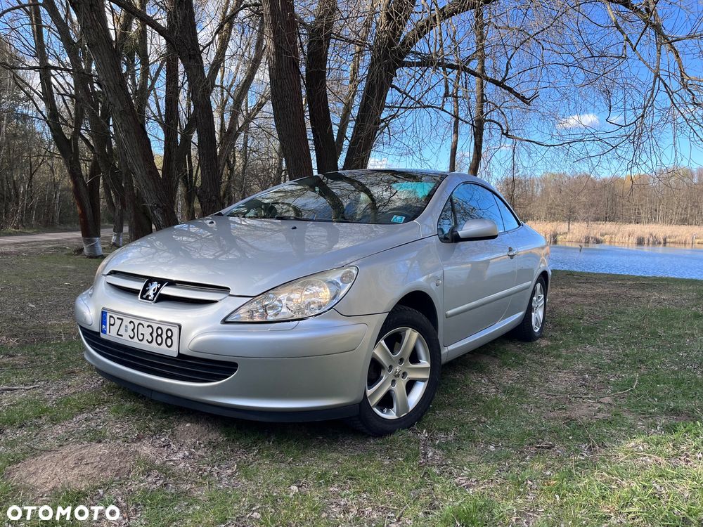 Peugeot 307 CC 135 - 11