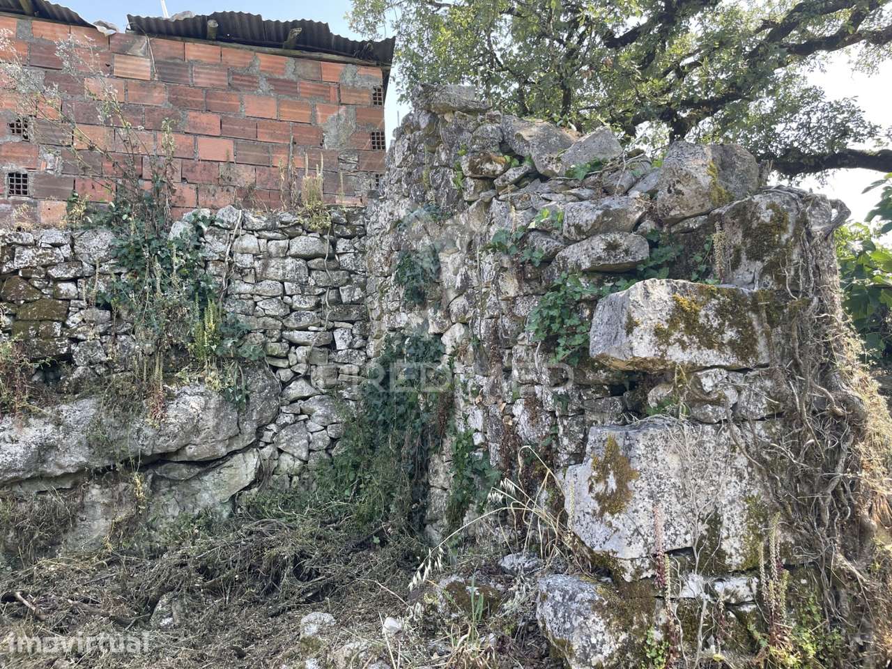 Ruina para reconstrução - Grande imagem: 3/14