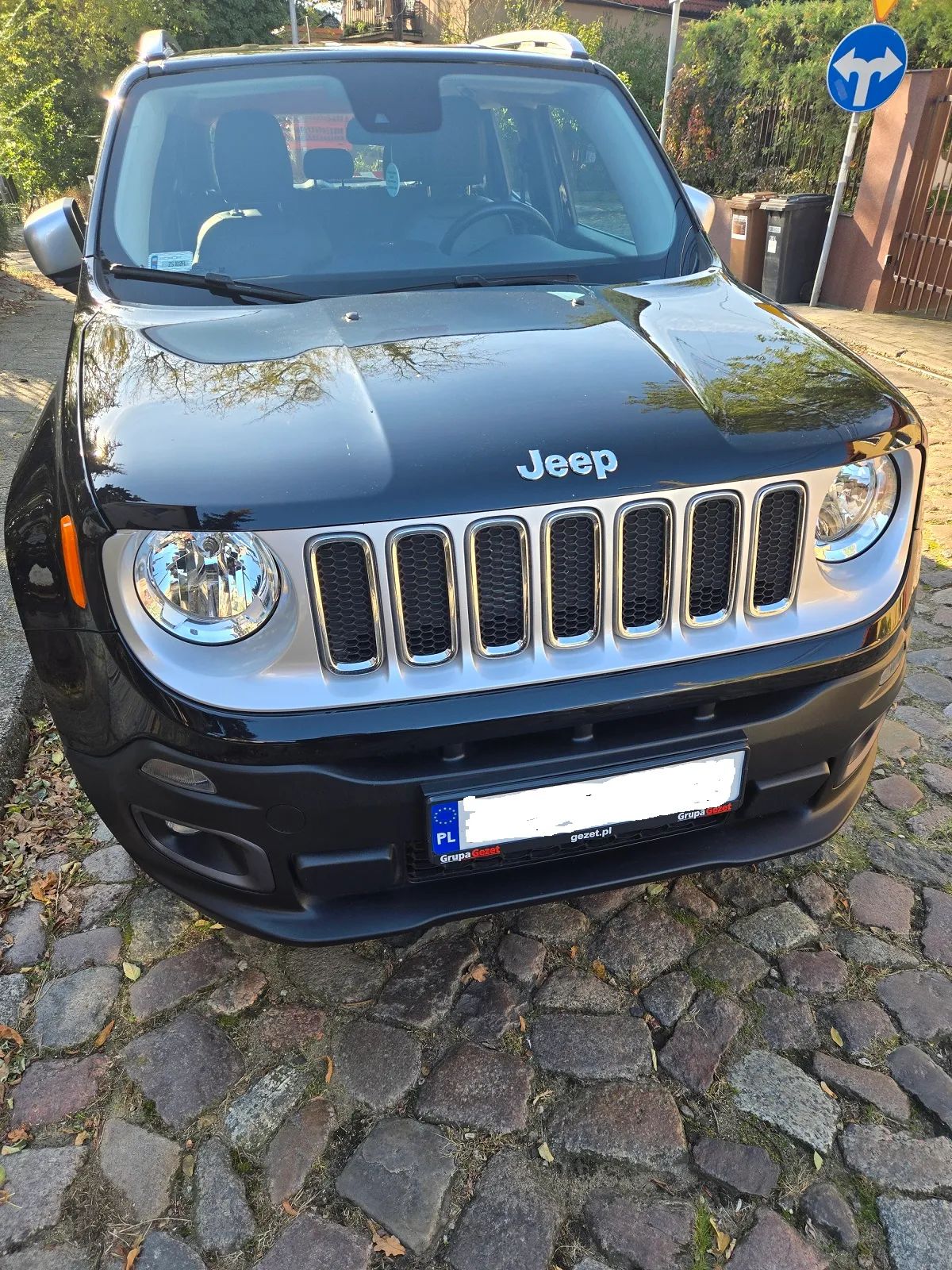 Jeep Renegade 2.0 MultiJet Limited 4WD S&S - 1