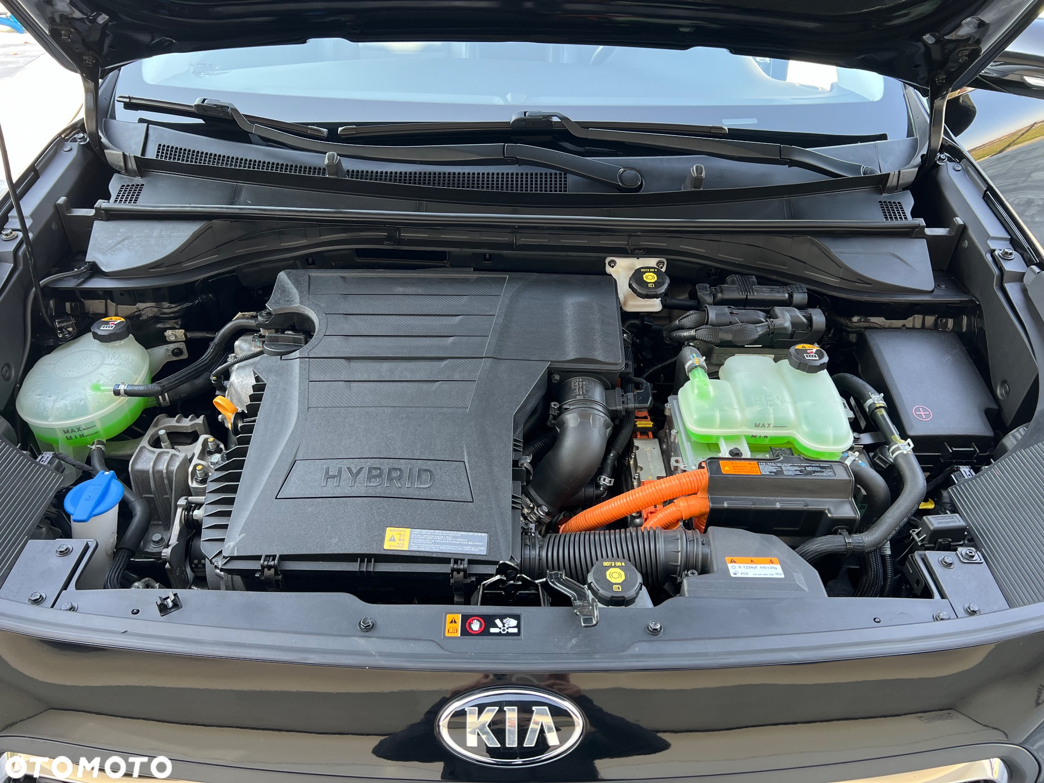 Kia Niro 1.6 GDI Hybrid L Business Line - 13