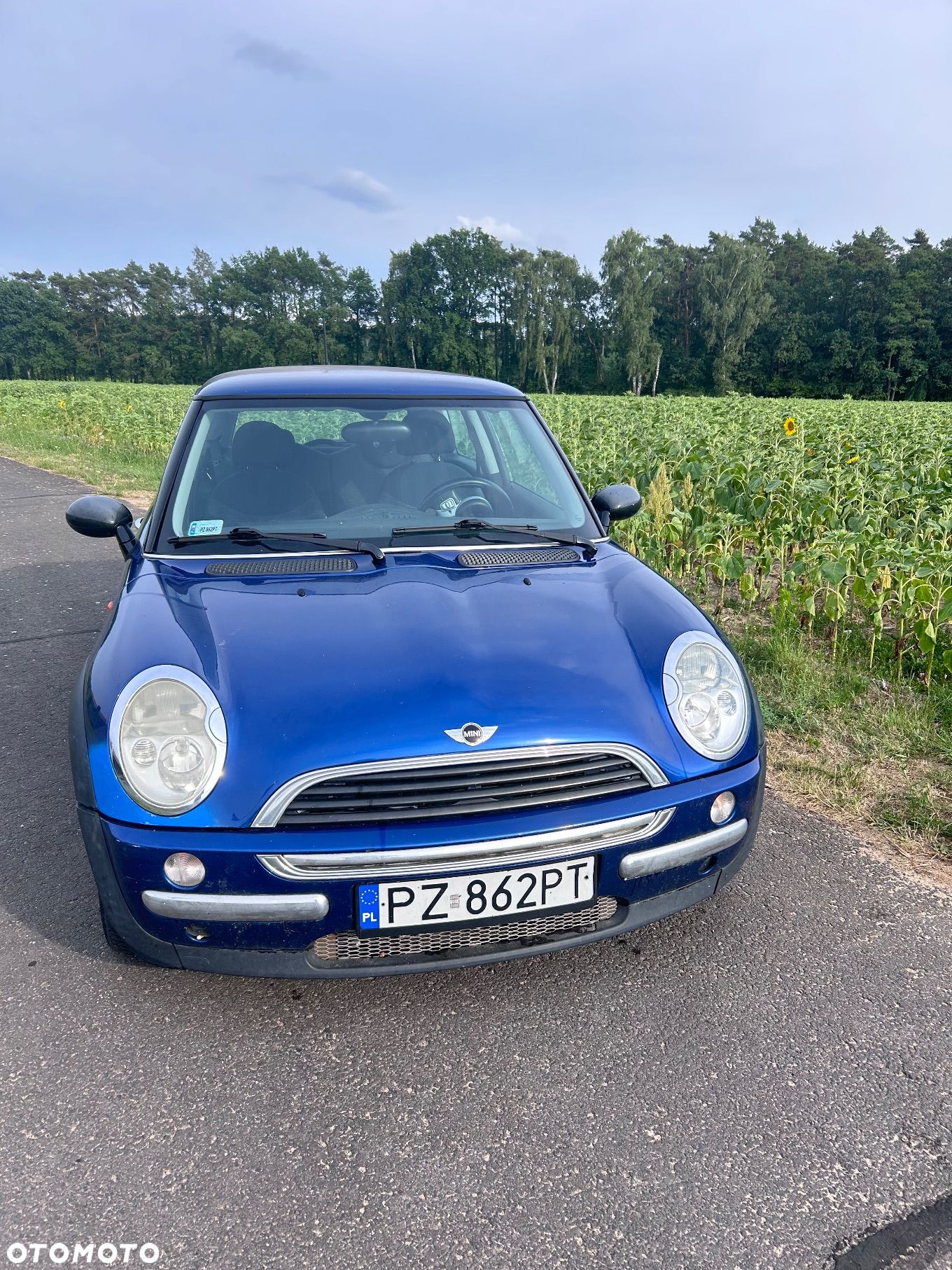 MINI ONE Standard - 1