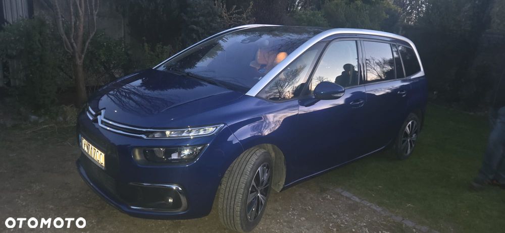 Citroën C4 Grand Picasso 1.6 BlueHDi MoreLife - 8