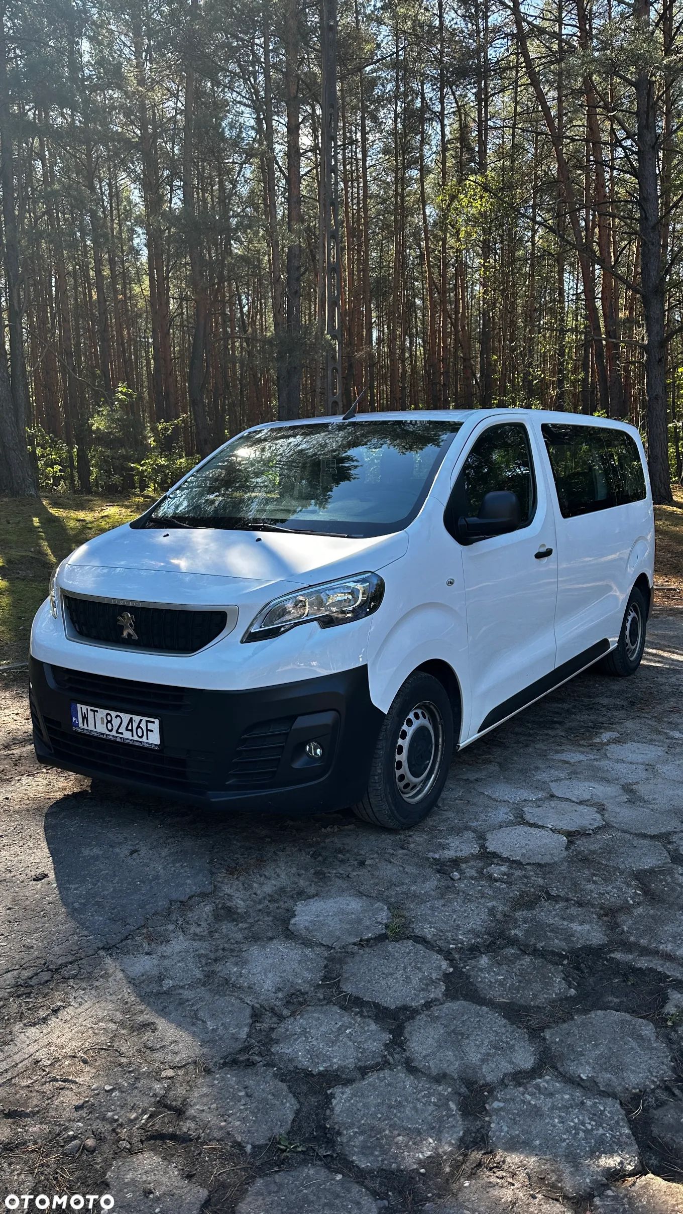 Peugeot Expert L2 2.0 BlueHDi 150 - 1