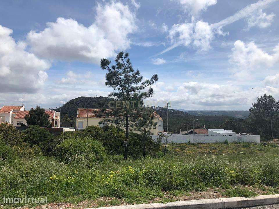 Terreno - Pederneira - Nazaré - Grande imagem: 5/5
