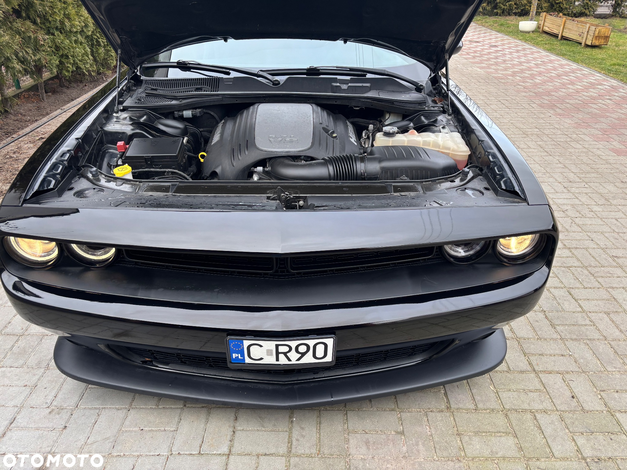 Dodge Challenger - 2