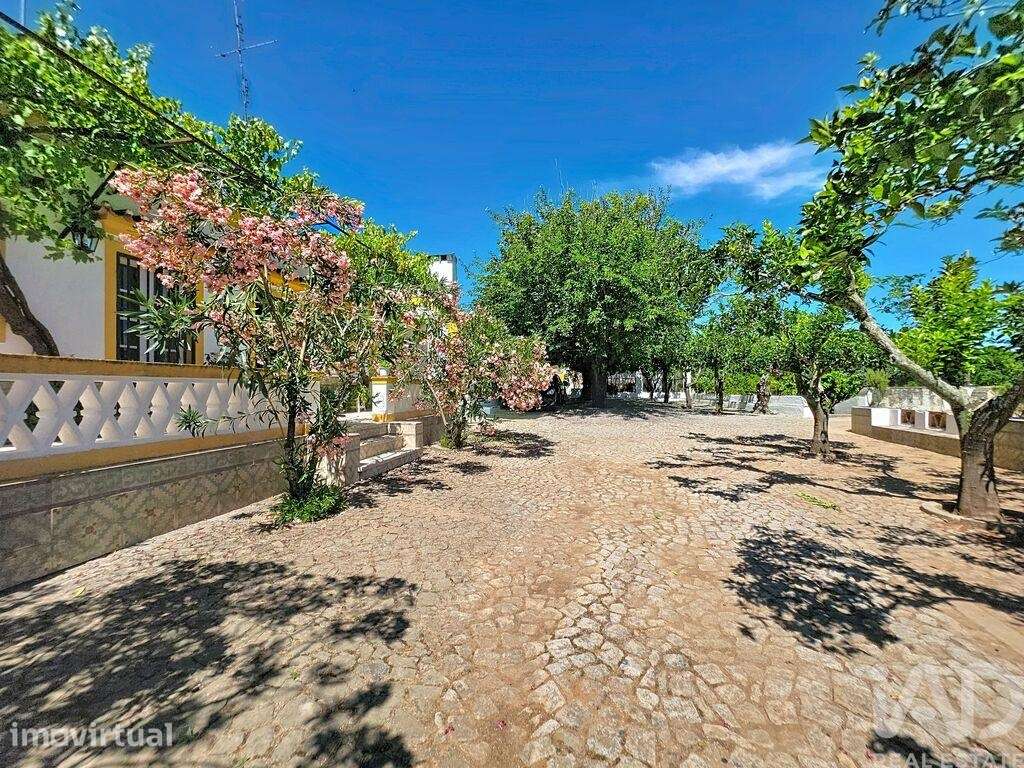 Quinta rural T5 em Assunção, Ajuda, Salvador e Santo Ildefonso de 300 - Grande imagem: 4/40
