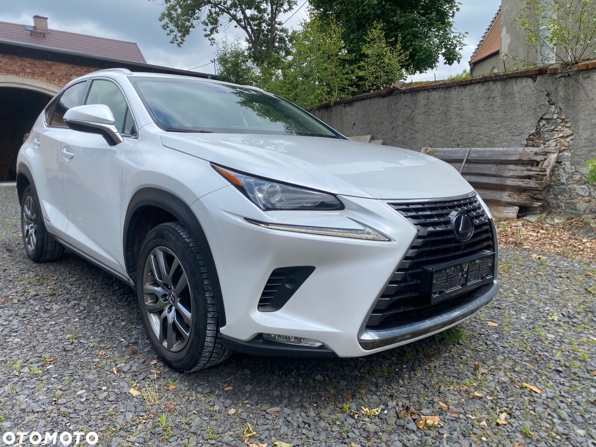 Lexus NX - 1